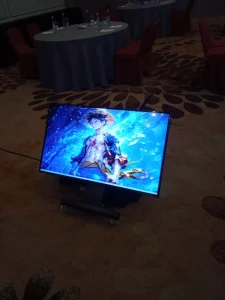 sewa tv matador untuk meeting kementrian lingkungan hidup